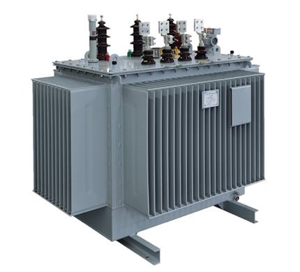 10kV grade oil-immersed distribution transformer